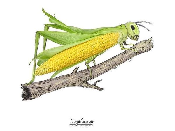 Ilustrator Ini Berkreasi Gunakan Bahan-bahan Rumah Tangga