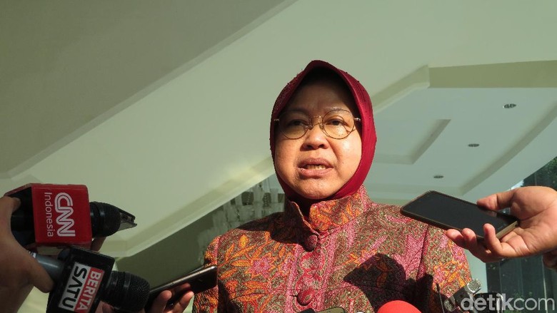 Risma: Makin Banyak Mobil, Perlu Banyak Tanam Pohon untuk Serap Polusi