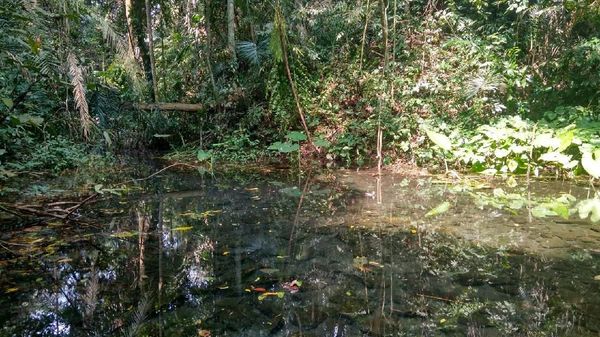 Foto: Cerita Mistis Gunung Dukuh dan Mata Air Keramat