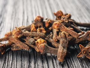 Foto: 7 Pasta Gigi Jadul untuk Membersihkan Gigi