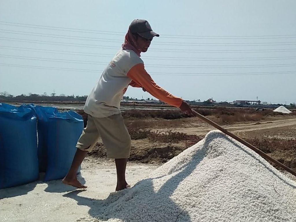 Pemerintah Bakal Jadikan NTT Sentra Produksi Garam Nasional Pemerintah Bakal Jadikan NTT Sentra Produksi Garam Nasional