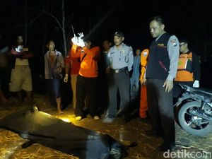 Terjun ke Bengawan Solo, Jenazah Pria Depresi Gagal Menikah Ditemukan Terjun ke Bengawan Solo, Jenazah Pria Depresi Gagal Menikah Ditemukan