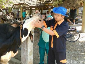 Jelang Idul Adha, Puskeswan Purworejo Periksa Hewan Kurban