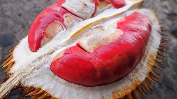 Buah Eksotis dari Pedalaman Kalimantan, Ada Durian Merah