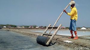 Petani Garam Ngeluh Harga Anjlok saat Panen