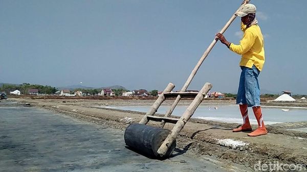 Petani Garam Ngeluh Harga Anjlok saat Panen
