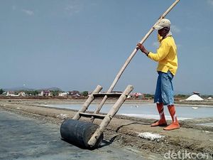Petani Garam Ngeluh Harga Anjlok saat Panen