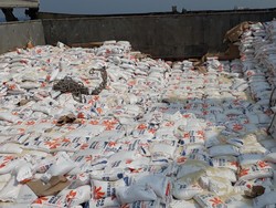 Tiap Tahun Produksi Pangan RI Turun Terus