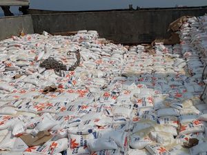 Impor Beras dan Kepentingan Publik Impor Beras dan Kepentingan Publik