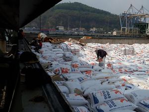 Darmin Minta Penjelasan Mendag Soal Persetujuan Impor Bawang Putih