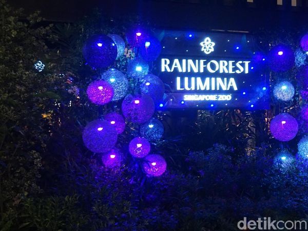 Foto: Jelajahi Kebun Binatang Modern Singapura Saat Malam Hari