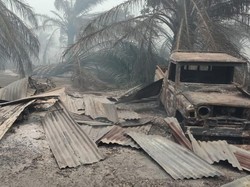 Ngerinya Kebakaran Lahan Sawit yang Hanguskan 20 Rumah Warga