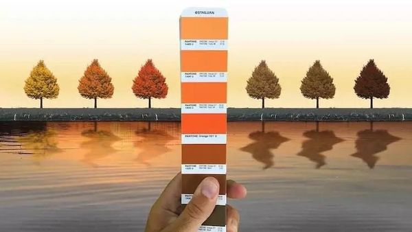 Keren! Ketika Panduan Warna Pantone Disatukan dengan Alam