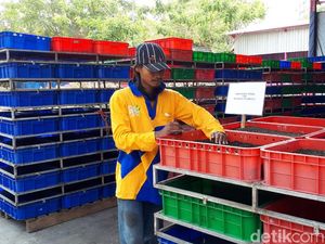 Manfaatkan Larva, Begini Cara Surabaya Kurangi Sampah Manfaatkan Larva, Begini Cara Surabaya Kurangi Sampah