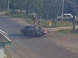 Sempat Jumpalitan di Udara, Pemotor yang Ditabrak Mobil Selamat
