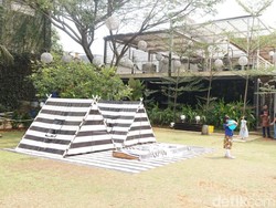 Tsamara Resto : Bisa Makan Gurame Saos Thailand Sambil Piknik Seru di Sini