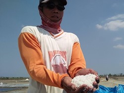 Petani Kaget Harga Garam Anjlok saat Panen