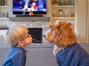 Yuk Kenalan Sama Reagan, Anjing yang Hobi Makan Bareng Tuannya!