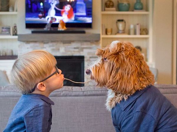 Yuk Kenalan Sama Reagan, Anjing yang Hobi Makan Bareng Tuannya!