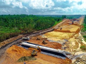 Wow! Ada Terowongan Khusus Beruang di Tol Pertama Kalimantan