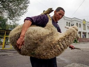 Begini Suasana Jual-Beli Hewan Kurban di Luar Negeri