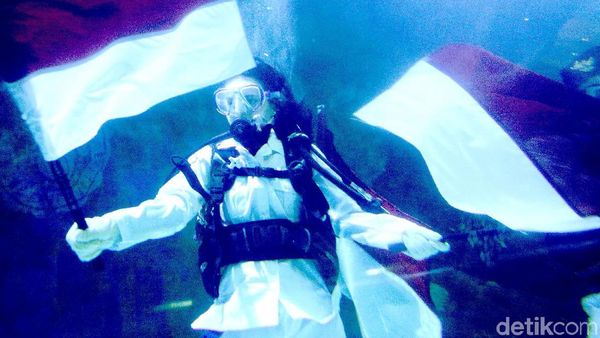 Keren! Marsha Aruan Menyelam untuk Kibarkan Sang Merah Putih