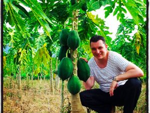 Intip Gaya Suami Bule Maudy Koesnaedi Saat Petik Pepaya hingga Pilih Durian