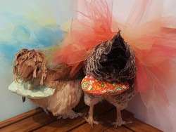 Wow! Wanita Ini Raup Rp 700 Juta Setahun dari Jualan Popok Ayam