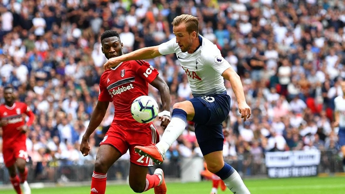 Harry Kane mencetak gol untuk mengantar Tottenham Hotspur mengalahkan Fulham (REUTERS/Dylan Martinez)