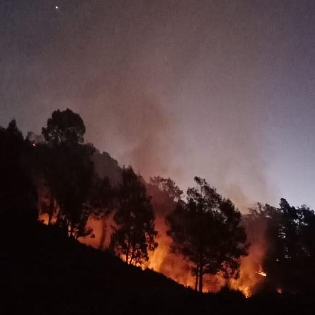Hutan di Gunung Panderman Terbakar, 100 Pendaki Dievakuasi