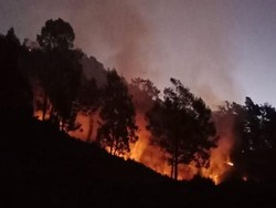 Hutan di Gunung Panderman Terbakar, Seluruh Pendaki Dievakuasi
