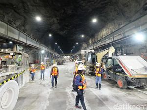 Masalah Lingkungan Bisa Hambat Proses Pembelian Saham Freeport
