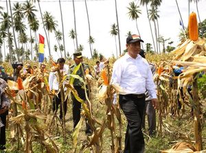 Kementan Sebut Pengadaan Tanpa Tender Sesuai Prosedur