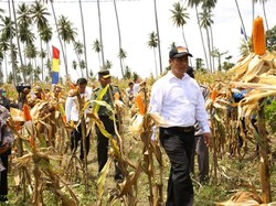 Kementan Sebut Pengadaan Tanpa Tender Sesuai Prosedur