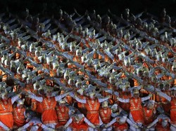 Ini 5 Produk Andalan yang Dipakai 5.000 Performer Asian Games 2018