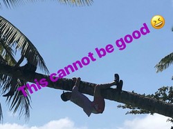 Aksi Kocak Keluarga David Beckham di Alam Indonesia