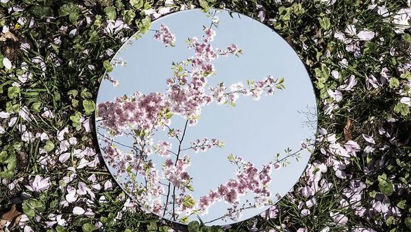 Menikmati Keindahan Alam Melalui Refleksi Cermin