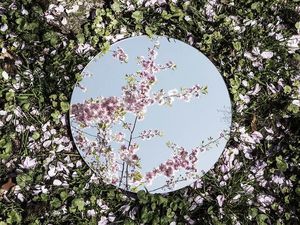 Menikmati Keindahan Alam Melalui Refleksi Cermin