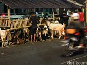 Saat Trotoar Menjadi Lapak Pedagang Hewan Qurban Jelang Idul Adha