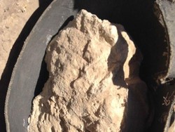 Keju Berusia 3.200 Tahun Ditemukan di Makam Mesir Kuno