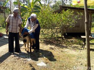 Cerita Pemilik Salon Kurban di Ponorogo dengan Omzet Rp 900 Juta