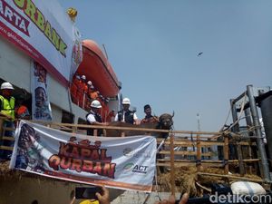 Pemprov DKI Kerja Sama dengan ACT, Bagikan Kurban ke 191 RW