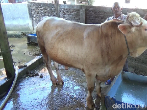 Jokowi dan Anies Berkurban di Masjid Istiqlal