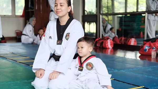 Artis hingga Pejabat, Sederet Tokoh yang Menekuni Olahraga Beladiri