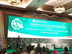 Darmin Minta BPDP Sawit Jalankan Kebijakan Biodiesel 20%
