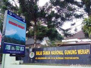 Ada Kubah Lava Baru Merapi, TNGM Siagakan Petugas di Posko Resort