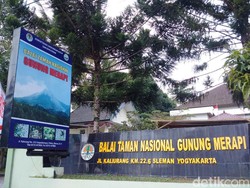 Ada Kubah Lava Baru Merapi, TNGM Siagakan Petugas di Posko Resort