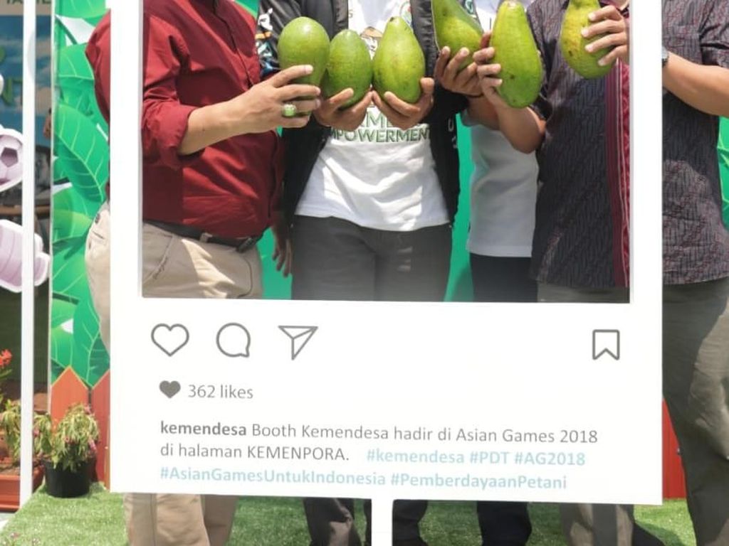 Alpukat Daerah Tertinggal Jadi Suguhan Atlet Asian Games 2018 Alpukat Daerah Tertinggal Jadi Suguhan Atlet Asian Games 2018