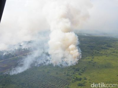Begini Ngerinya Kebakaran Hutan di Kubu Raya Kalbar