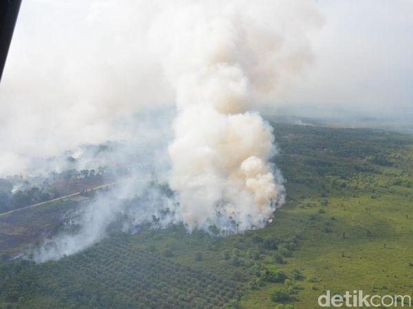Begini Ngerinya Kebakaran Hutan di Kubu Raya Kalbar